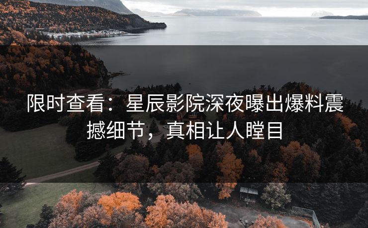 限时查看:星辰影院深夜曝出爆料震撼细节,真相让人瞠目